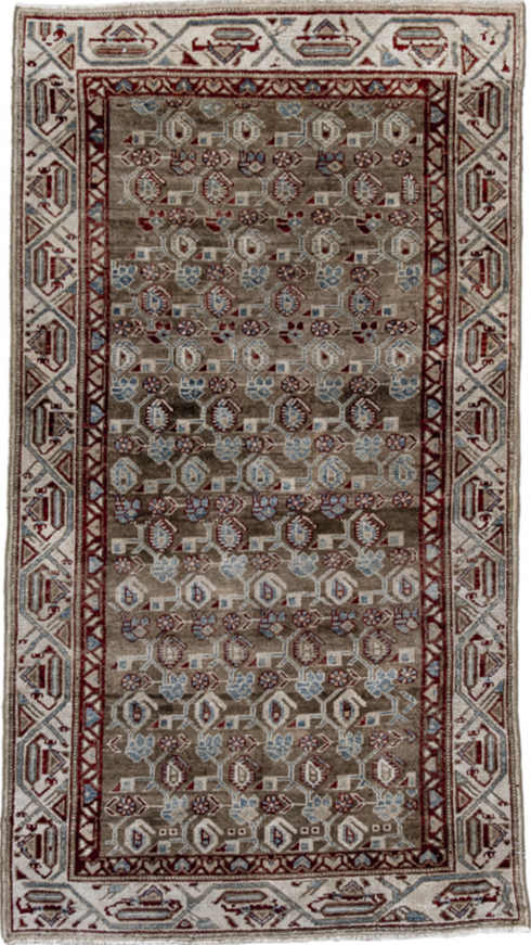 Antique Malayer Area Rug (3' x 6')